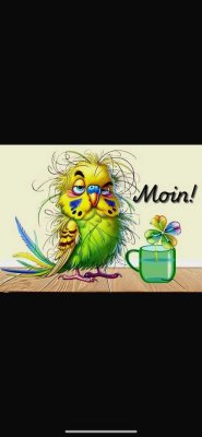 Oldeoogestraße 5, 26382 Wilhelmshaven