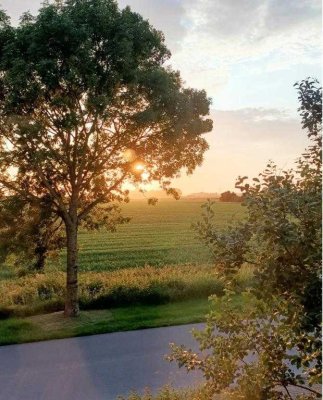 2,5-Zimmer Dachgeschosswohnung mit Balkon in Warwerort