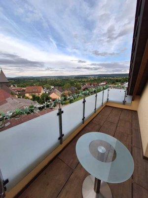 Hochwertige 1- Zimmer Wohnung mit traumhaftem Ausblick in Ittersbach