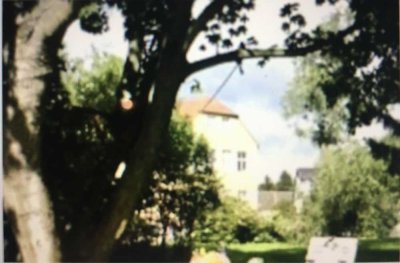 möblierte 3 Zimmer-Wohnung auf Parkgrundstück, Schloss- und Seeblick in Dessau-Roßlau