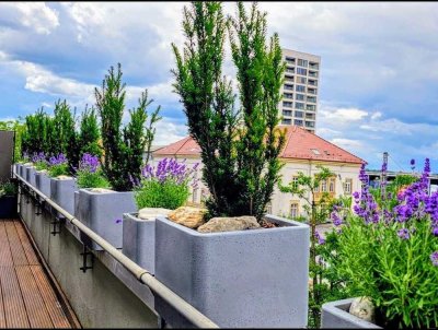 Penthouse Wohnung*Himmlischer Weitblick*große Dachterrasse*Schönes wohnen im Zentrum von Reutlingen*