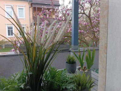 Freundliche und möblierte Single-Wohnung mit Balkon