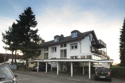Gepflegte 1-Zimmer-Wohnung mit großer Terrasse in Niedernhaussen-Niederseelbach