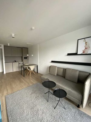 Möbliertes 2-Zimmer-Apartment in Frankfurt mit Dachterassen