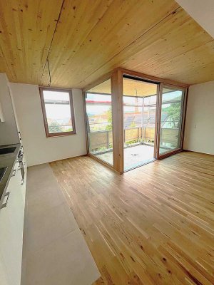 3Zi.-Neubau -ökologisch-hochwertig-hell-zentral-unverbaubare Aussicht
