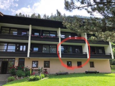 Ferienwohnung Nähe Skigebiet