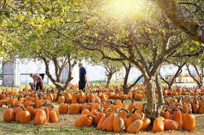 Jetzt mit neuer Förderung sicher bauen!
