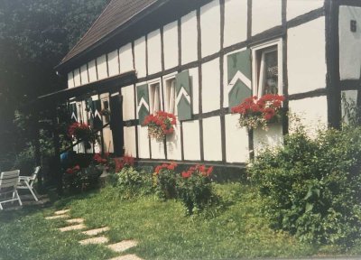 Sie lieben es beim Frühstück die Rehe an ihrem Fenster vorbeiziehen zu sehen? Dann sind sie richtig!