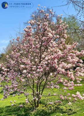 BADEN NÄHE - VILLA AUF 2500 m² IN TOPRUHELAGE MIT HIGH-TECH-KOMFORT IN TRUMAU