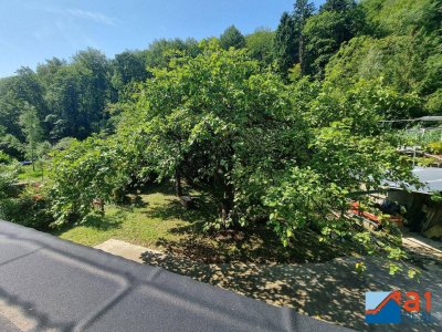 Traumhaus in Gramastetten, direkt an der Stadtgrenze zu Linz: Wohnen oder Arbeiten in Top-Lage!