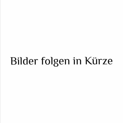 1-Zimmer-Wohnung in guter Lage nahe Pegnitzgrund & Nordklinikum (unmöbliert)