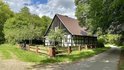 Traumhaftes Waldhaus