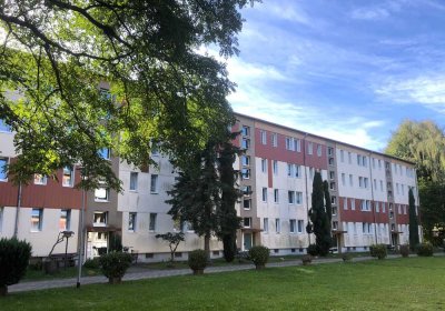 Drei-Raum-Wohnung im Grünen