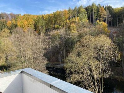 Frisch renovierte 52qm, 3ZKDB, Balkon mit Blick auf die Verse