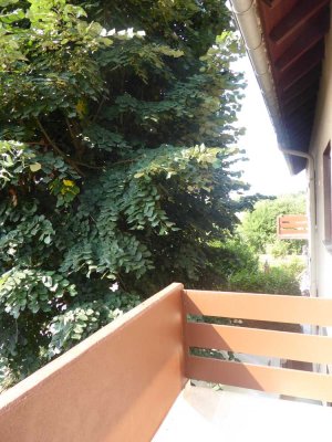 Lichtdurchflutete 3 Zimmer-Whg.  in gepflegten Mehrfamilienhaus  - Maintal-Bischofsheim/ Ffm -Ost