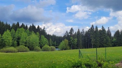 Traumlage! Rückzugsort in der Natur!