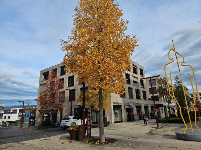 Moderne 4-Zimmer-Wohnung am Garnmarkt in Götzis
