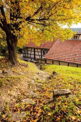 Rückzugsort und Wohlfühlhof