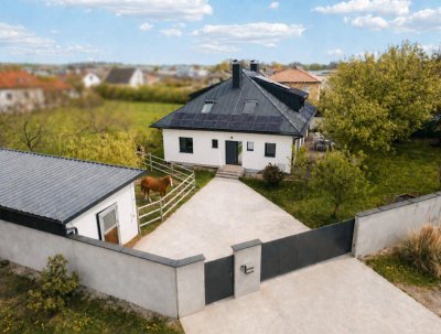 EIN HAUS, EIN ÄFFCHEN UND EIN PFERD - HIER MACHST DU DIR DIE WELT, WIDEWITT SIE DIR GEFÄLLT!