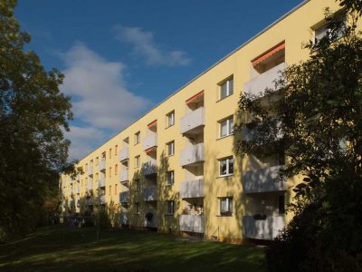 Renovierte Wohnung beim Theresienstein