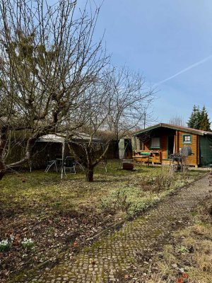 Kleingarten / Pachtgarten 400 m² in Magdeburg – Laube & Geräte zu verkaufen (Pacht im Verein)