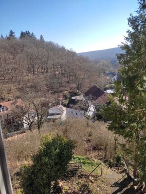 Schöne und sanierte 3 5-Zimmer-Wohnung mit Balkon und EBK