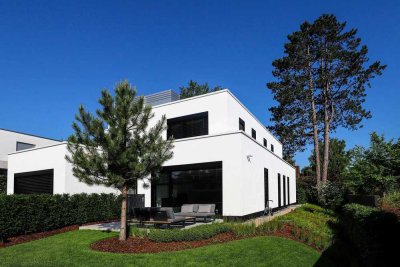 Penthouse in Lücklemberg - Außerhalb von Konkurrenz!!