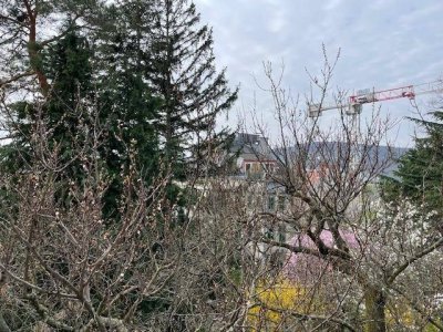 2-Zimmer Altbauwohnung mit Balkon und Gartennutzung