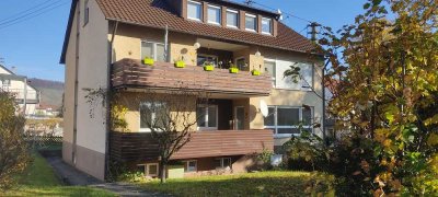 Helle und neu renovierte Wohnung