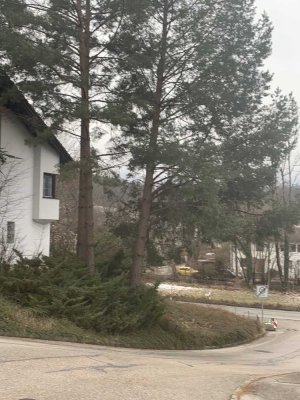 Gefühlt wie ein eigenes Haus: 2 ZKB in Berchtesgadener Land (Kreis), Bad Reichenhall
