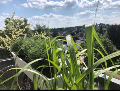 2,5ZKB mit Balkon Nähe Uniklinik