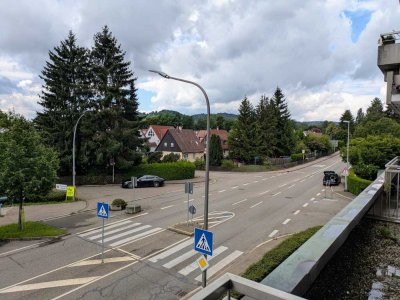 3 - Zi-Wohnung für Single/Paar mit  Balkon+grünem Weitblick in die Weinberge und über die Stadt