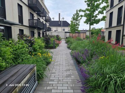 Klasse Wohnen an der Radolfzeller Aach - Attraktive 3 ZKB mit Aussicht auf den Hohentwiel