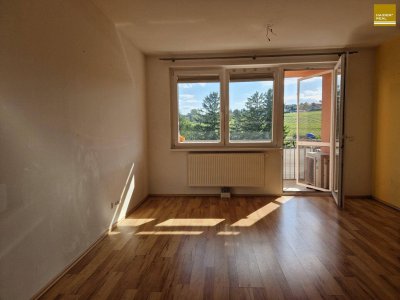 Helle und gut geschnittene Balkonwohnung zum Wohlfühlen mit Weinbergblick