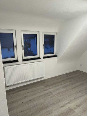 Neu renovierte Wohnung zu vermieten in 74336 Brackenheim