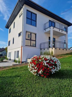 Exklusive 3-Raum-Wohnung mit gehobener Innenausstattung mit hochwertiger Einbauküche