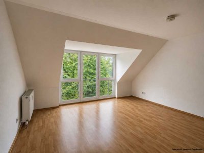 Charmante 1-Zimmer Dachgeschosswohnung in Worms nähe Zentrum