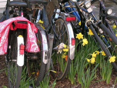 PROMENADENLAGE im X-Viertel