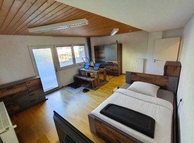 Geräumige und sanierte 1-Zimmer-Wohnung