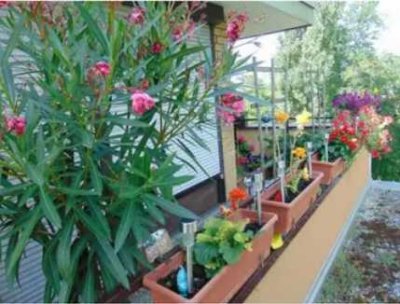 Dachterrasse: 1-Zimmer Dachgeschoss-Apartment in München-Am Hart