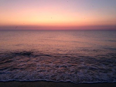 Bien-Zenker EDITION 125 - Ihr individuelles Traumhaus für die ganze Familie