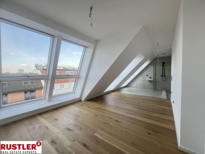 Luxus Penthouse mit sonniger Dachterrasse am Reinlpark | ERSTBEZUG