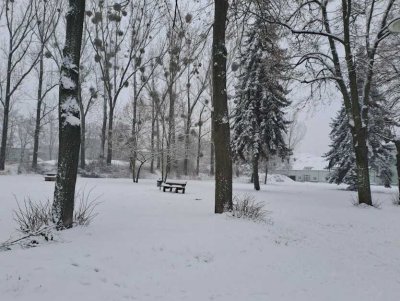 Vermietete 3-Zimmer-Wohnung mit PKW-Stellplatz. Sehr gepflegt. Ruhige Wohnlage in Stadtfeld-West!