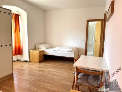 Arbeiterquartiere längerfristig - 1 Zimmer Apartment mit 1 Bett mit Dusche und WC in Fischamend 420,-- Euro monatliche Pauschale sofort verfügbar