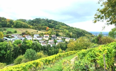 Zweitbezug nach Sanierung mit Terrasse und Garten:  2-Zimmer-Wohnung in Heppenheim/OT
