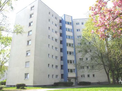 +++GOLDBERG+++S-BAHN+++HELL & SONNIG+++LAMINAT & FLIESEN+++S/W-BALKON+++HMS+++ETC.+++AB 09.2025+++