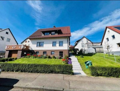 Attraktive 3-Zimmer Wohnung, frisch Saniert, in Birenbach