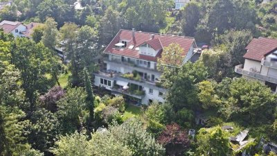GRÜN*BESONDERS*BEZUGSFREI AB SOFORT