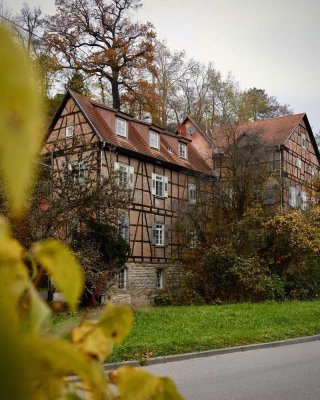 6% Rendite möglich! Renovierte 2,5 Zimmer Wohnung in historischer Mühle