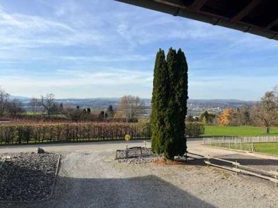 Schöne ruhige 1.5 Zi Dachgeschosswohnung